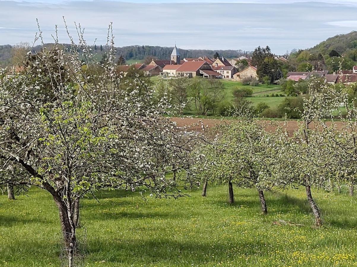 Chateau D'Impasse Laferté-sur-Amance Esterno foto